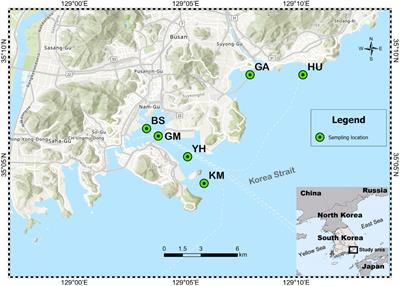 Microplastic contamination and microbial colonization in coastal area of Busan City, Korea